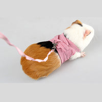 HKM-630483 Pet Chest Strap with 1.8m Leash for Small Animals Like Rabbits and Guinea Pigs