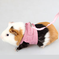 HKM-630483 Pet Chest Strap with 1.8m Leash for Small Animals Like Rabbits and Guinea Pigs