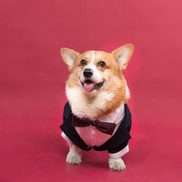 HKM-630867 Navy Blue Swallowtail Dress Shirt for Dogs - Stylish Suit Option in Various Sizes
