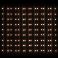 HKM-631251 Warm White LED Light Curtain 3x3 m with 300 Lights and 8 Effects for Holidays and Events