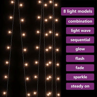 HKM-631251 Warm White LED Light Curtain 3x3 m with 300 Lights and 8 Effects for Holidays and Events