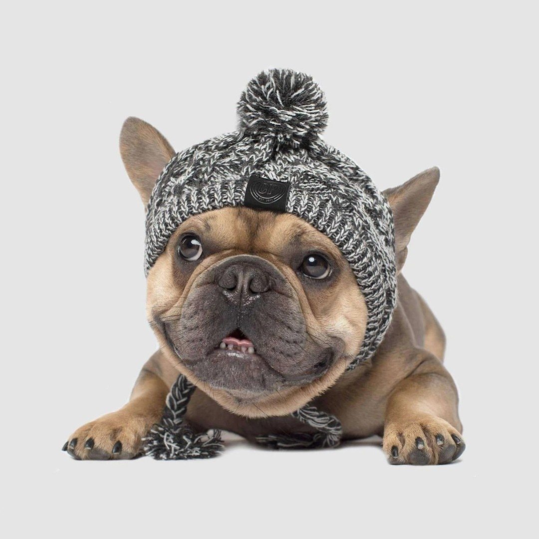 HKM-632595 Two-Tone Windproof Fluffy Knitted Dog Hat with Pompom and Tassels