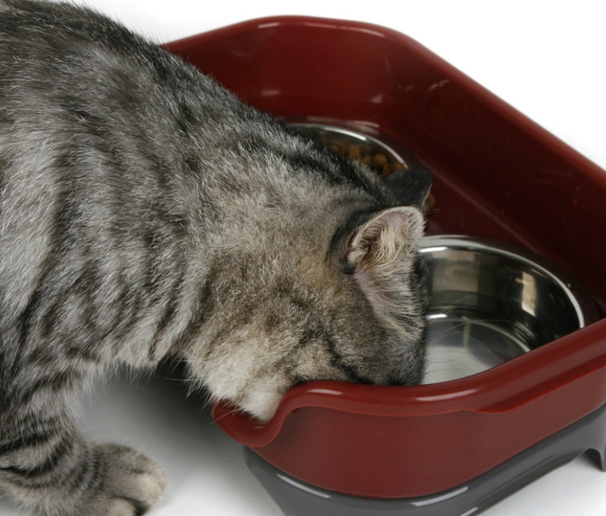 HKM-633107 Double Basin Splash-Proof Stainless Steel Dog and Cat Food Bowl Set
