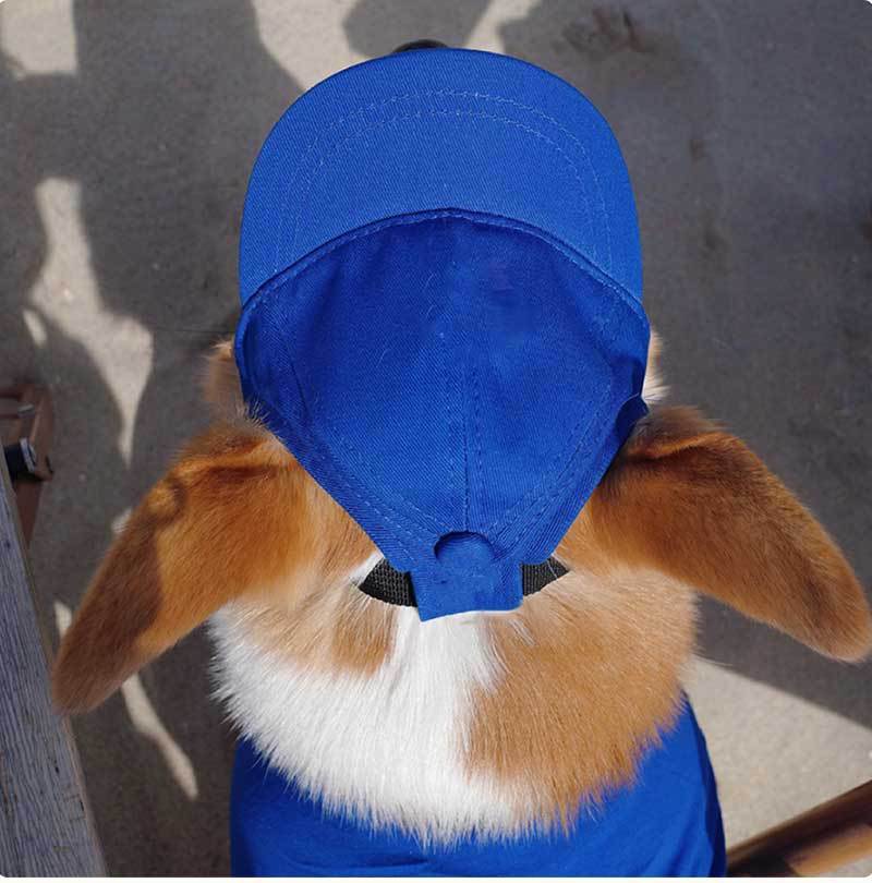 HKM-633747 Adjustable Sun-Proof Pet Hat for Exposed Ears in Monochrome Colors