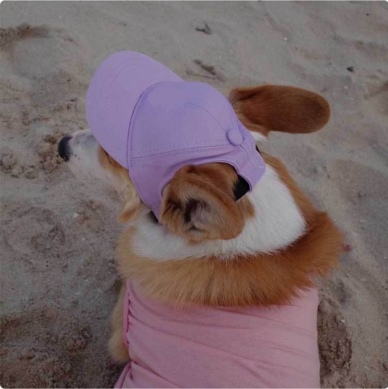 HKM-633747 Adjustable Sun-Proof Pet Hat for Exposed Ears in Monochrome Colors