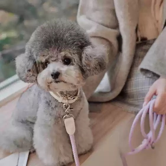 HKM-633939 Leather Dog Collar and Leash Set for Small to Medium Breeds - Anti-Bite, Multiple Color Options
