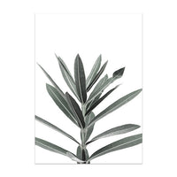 HKM-636051 Nordic Modern Canvas Painting with Floral and Leaf Patterns for Home Decoration
