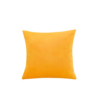 HKM-638739 Velvet Lumbar Support Pillowcase for Home and Office Use