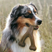 HKM-638803 Pet Dog Bite Molar Rod Durable