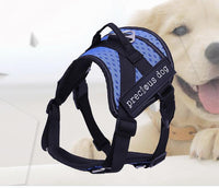 HKM-639187 Adjustable Cotton Dog Traction Chest and Back Harness - Available in Blue, Orange, Green, Grey (Sizes S, M, L)