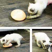 HKM-639955 Pet Supplies Toy Cat Grab Basin Gyro Food Leakage