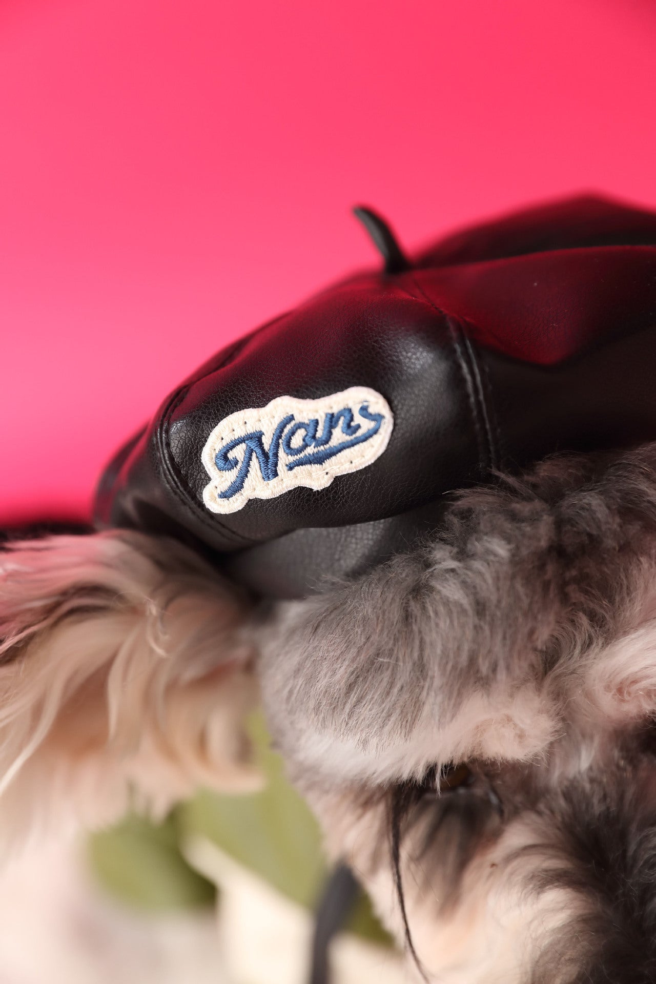 HKM-640019 Concave Shape Pumpkin Hat for Dogs in Black, Beige, Red, and Brown