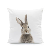 HKM-641875 Easter Cartoon Rabbit Print Plush Pillow Cover, 45x45cm Cushion Case