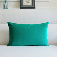 HKM-641939 Thick Velvet Throw Pillow with High Elastic 3D PP Cotton Filling - Removable and Washable