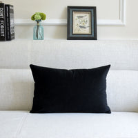 HKM-641939 Thick Velvet Throw Pillow with High Elastic 3D PP Cotton Filling - Removable and Washable