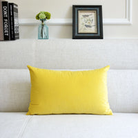 HKM-641939 Thick Velvet Throw Pillow with High Elastic 3D PP Cotton Filling - Removable and Washable