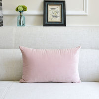 HKM-641939 Thick Velvet Throw Pillow with High Elastic 3D PP Cotton Filling - Removable and Washable