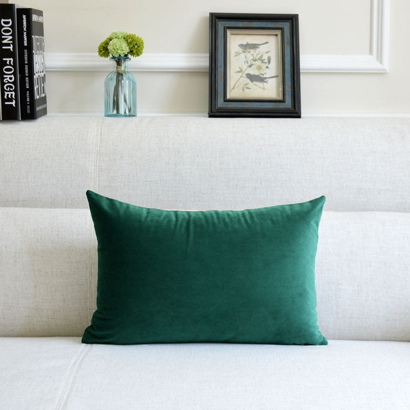 HKM-641939 Thick Velvet Throw Pillow with High Elastic 3D PP Cotton Filling - Removable and Washable