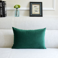 HKM-641939 Thick Velvet Throw Pillow with High Elastic 3D PP Cotton Filling - Removable and Washable