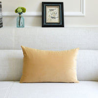HKM-641939 Thick Velvet Throw Pillow with High Elastic 3D PP Cotton Filling - Removable and Washable
