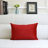 HKM-641939 Thick Velvet Throw Pillow with High Elastic 3D PP Cotton Filling - Removable and Washable