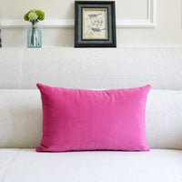 HKM-641939 Thick Velvet Throw Pillow with High Elastic 3D PP Cotton Filling - Removable and Washable