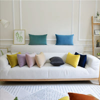 HKM-641939 Thick Velvet Throw Pillow with High Elastic 3D PP Cotton Filling - Removable and Washable