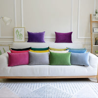 HKM-641939 Thick Velvet Throw Pillow with High Elastic 3D PP Cotton Filling - Removable and Washable