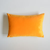 HKM-641939 Thick Velvet Throw Pillow with High Elastic 3D PP Cotton Filling - Removable and Washable