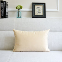 HKM-641939 Thick Velvet Throw Pillow with High Elastic 3D PP Cotton Filling - Removable and Washable