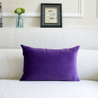 HKM-641939 Thick Velvet Throw Pillow with High Elastic 3D PP Cotton Filling - Removable and Washable