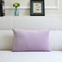 HKM-641939 Thick Velvet Throw Pillow with High Elastic 3D PP Cotton Filling - Removable and Washable