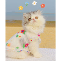 HKM-642387 Princess Style Mesh Flower Embroidery Dress with Hand-Woven Sunflower and Daisy Straw Hats for Cats and Dogs