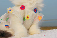 HKM-642387 Princess Style Mesh Flower Embroidery Dress with Hand-Woven Sunflower and Daisy Straw Hats for Cats and Dogs