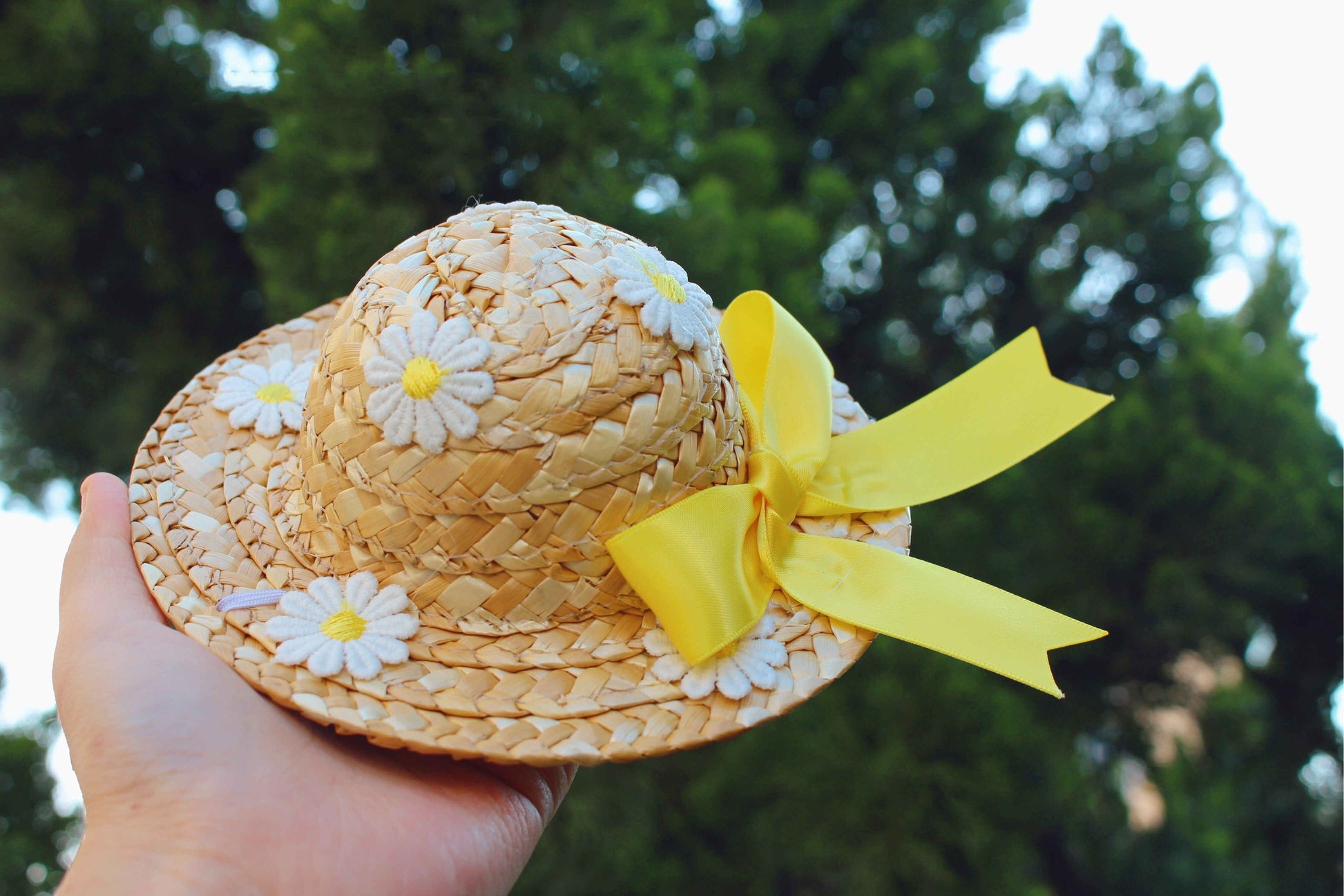 HKM-642387 Princess Style Mesh Flower Embroidery Dress with Hand-Woven Sunflower and Daisy Straw Hats for Cats and Dogs