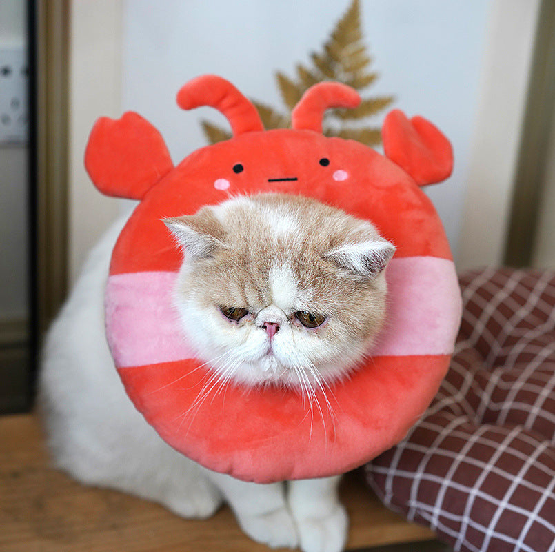 HKM-643795 Soft Nylon Cartoon Cat Collar for All Seasons - Elizabethan Circle Design in Multiple Sizes