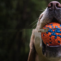 HKM-644563 Resistant To Bite And Chew Dog Toy Burst Ball