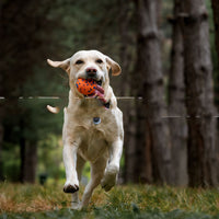 HKM-644563 Resistant To Bite And Chew Dog Toy Burst Ball