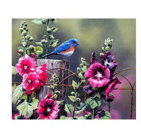 HKM-644947 DIY Digital Oil Painting Kit - 40x50cm Linen Canvas with Brushes, Paint, and Hook