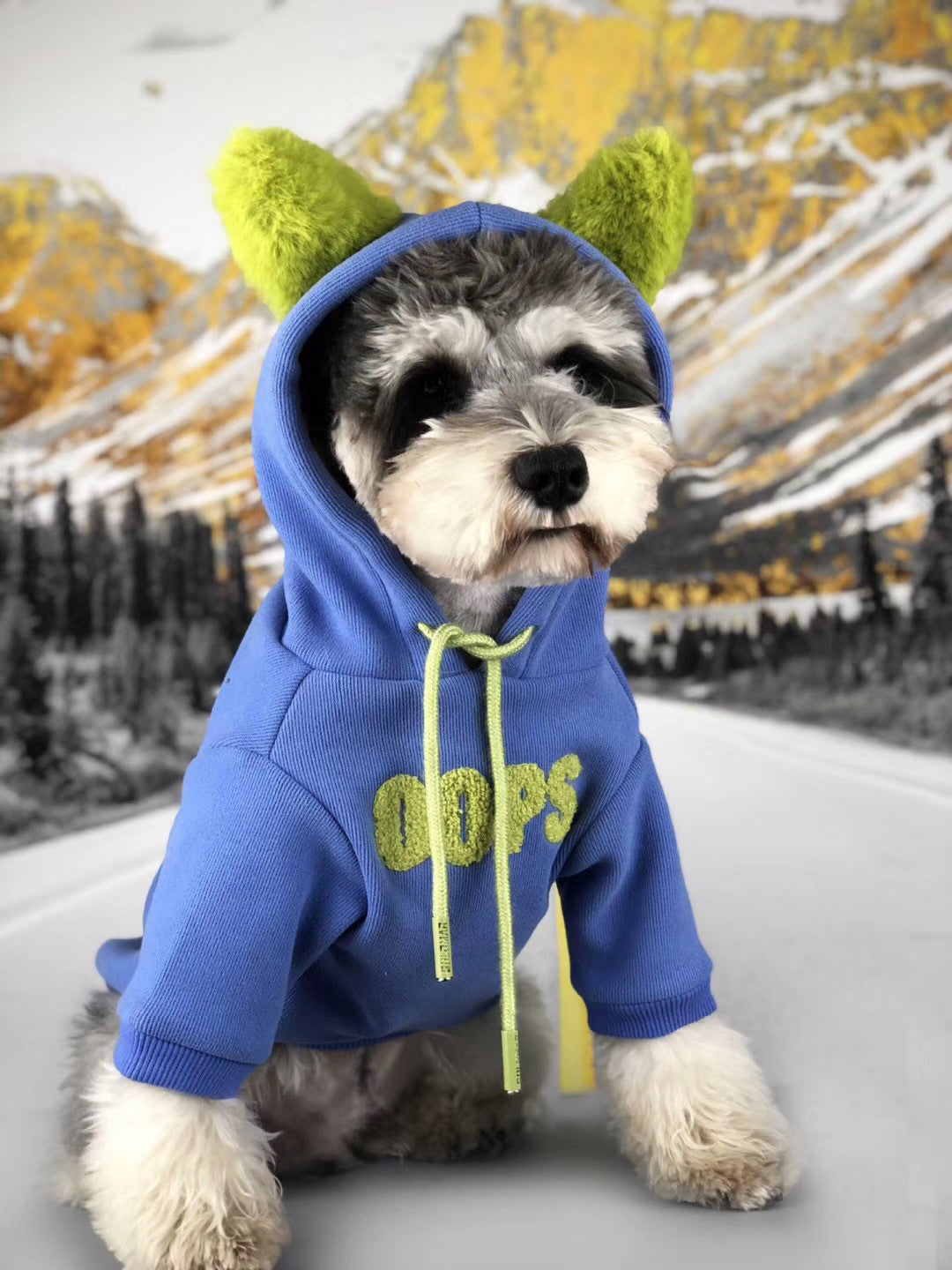 HKM-647507 Cotton Pet Sweater for Small Dogs - Autumn and Winter Seasonal Wear in Fruit Green and Blue-Violet
