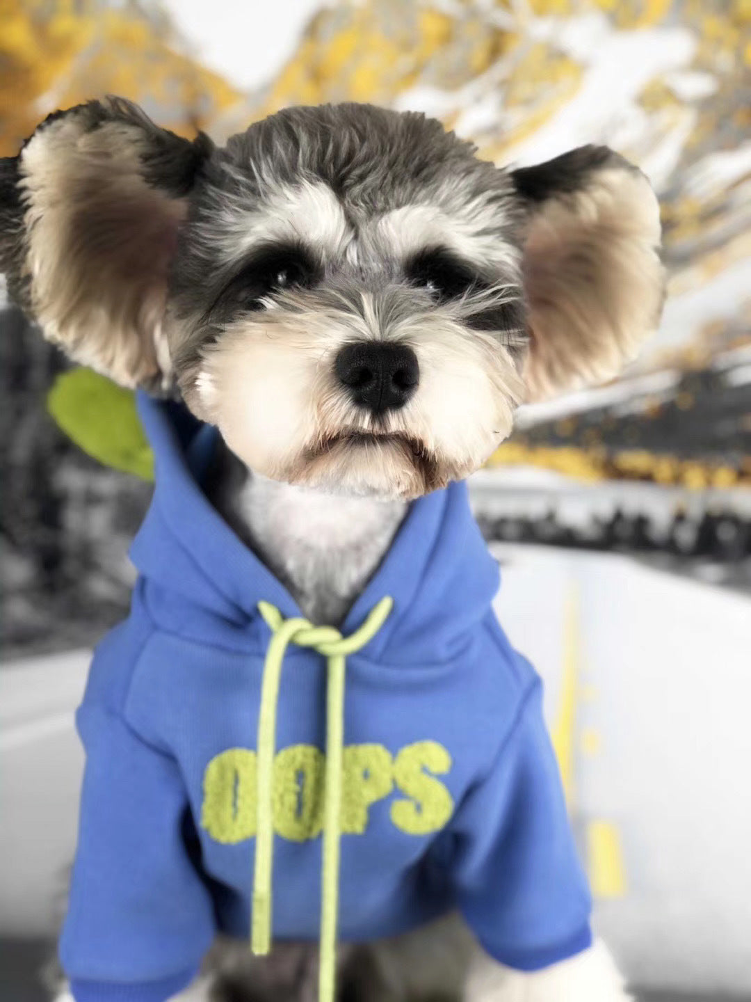 HKM-647507 Cotton Pet Sweater for Small Dogs - Autumn and Winter Seasonal Wear in Fruit Green and Blue-Violet