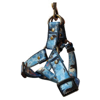 HKM-648595 Halloween Dog Print Harness and Leash Set with Collar, Polyester Material, Multiple Sizes Available