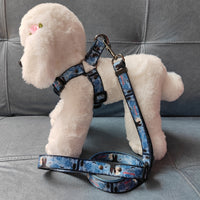 HKM-648595 Halloween Dog Print Harness and Leash Set with Collar, Polyester Material, Multiple Sizes Available