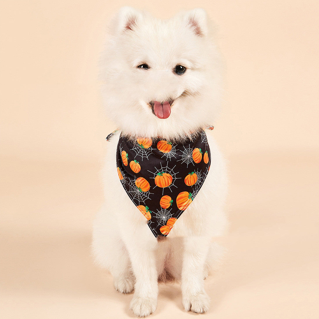 HKM-649235 Halloween Double-Sided Pet Saliva Towel - Milk Silk, Various Patterns and Sizes