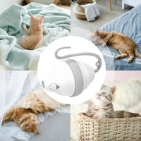 HKM-652307 Rolling Mouse Cat Toy Automatic Moving Mouses Glow Feather Electric Teasing Stick Lrregular Running Pet Products