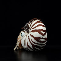 HKM-654227 Simulation Pearl Nautilus Plush Doll for Kids - 20 cm Soft Toy for Comfort and Tactile Development