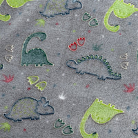 HKM-657299 Luminous Coral Cartoon Dinosaur Flannel Blanket - Soft and Cozy - Multiple Sizes Available