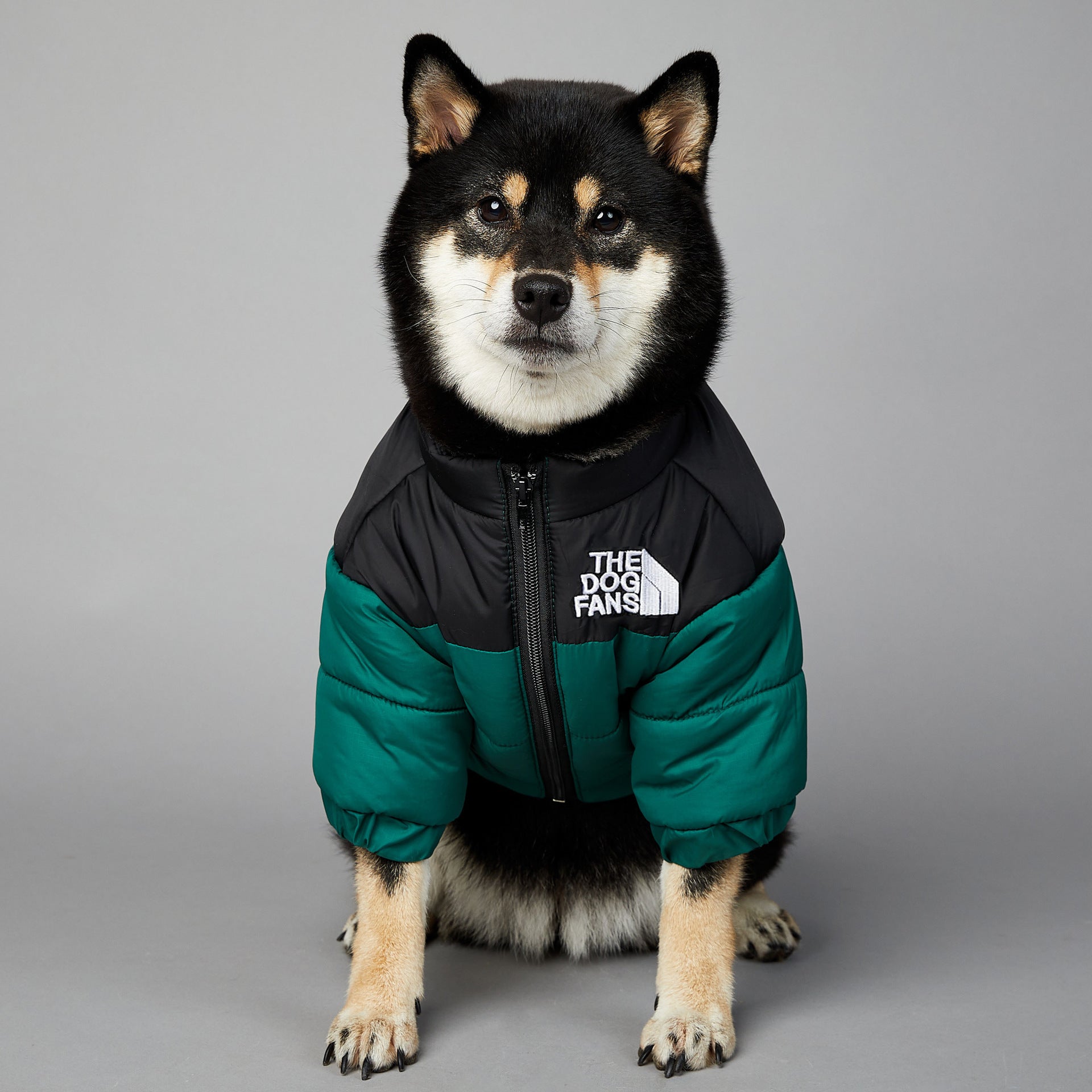 HKM-659283 Windproof and Rainproof Dog Winter Cotton-Padded Coat in Various Colors and Sizes
