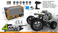 HKM-660179 Alloy RC Off-Road Climbing Truck for Boys, 1/12 Scale Remote Control Buggy, Indoor-Outdoor Fun