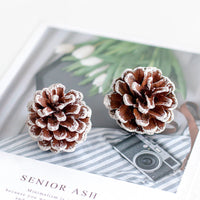 HKM-660691 Fire-Free Cinnamon Pine Cone Aroma Diffuser Cup - Natural Dried Floral Design for Relaxing Ambiance